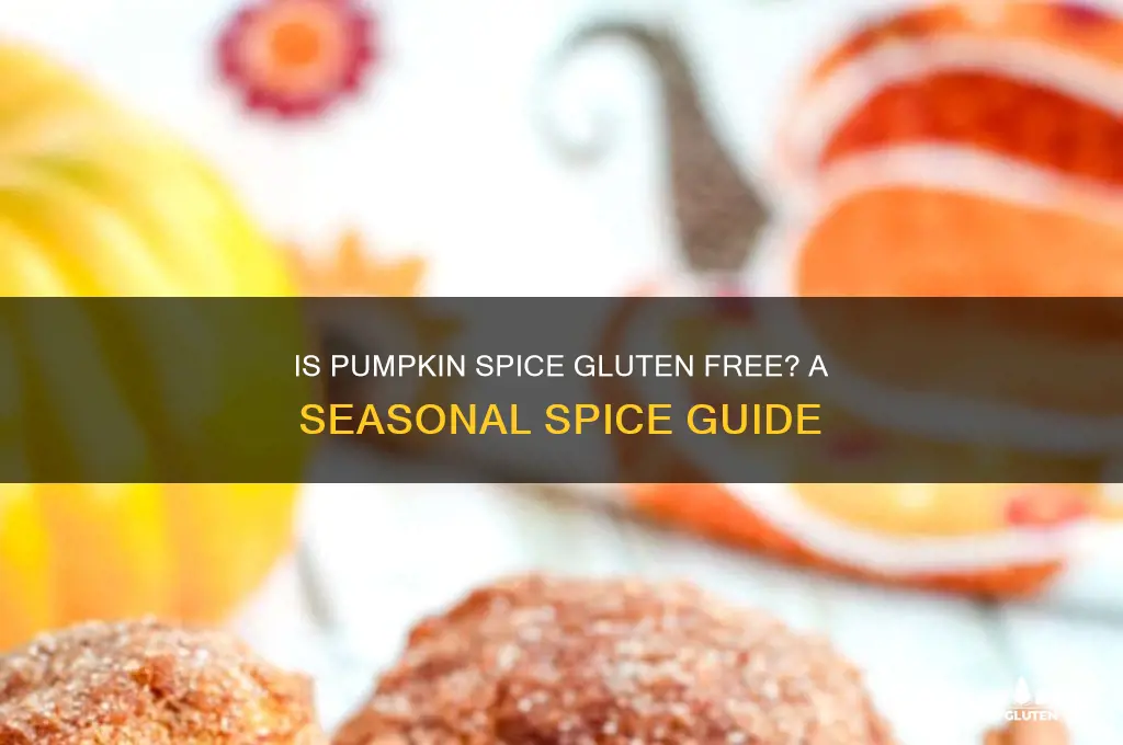 is pumpkin spice gluten free