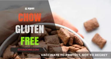 Is Puppy Chow Gluten-Free? A Complete Guide for Dog Owners