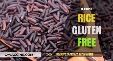 Is Purple Rice Gluten-Free? Unveiling the Truth for Celiac Diets