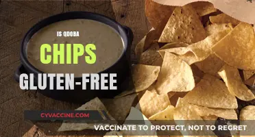 Are Qdoba Chips Gluten-Free? A Comprehensive Guide for Celiac Diners