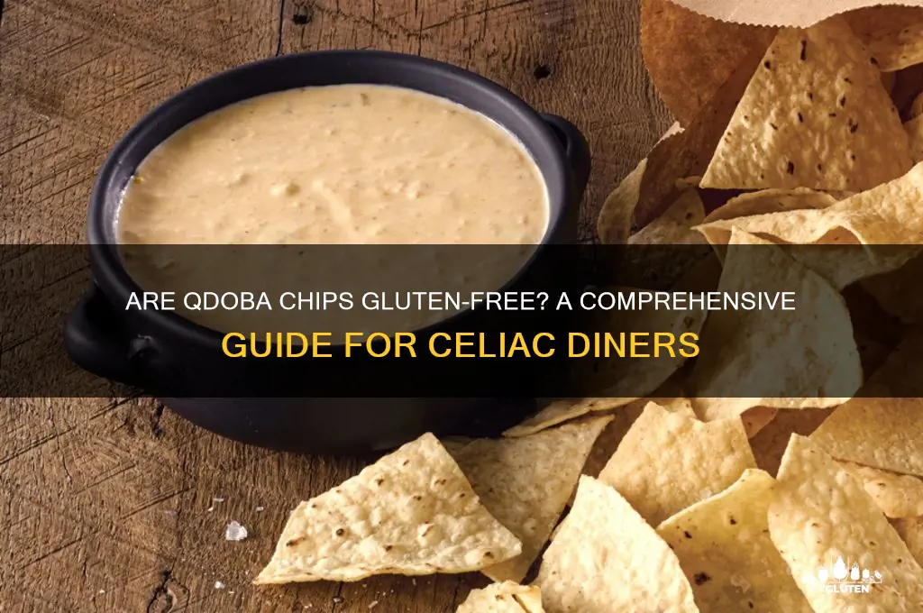 is qdoba chips gluten-free