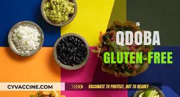 Is Qdoba Gluten-Free? Exploring Menu Options for Celiac Diners