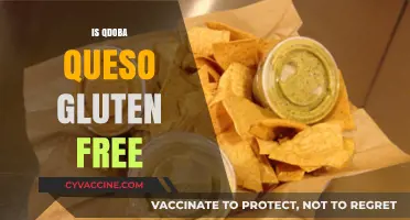 Is Qdoba Queso Gluten-Free? A Complete Guide for Celiac Diners