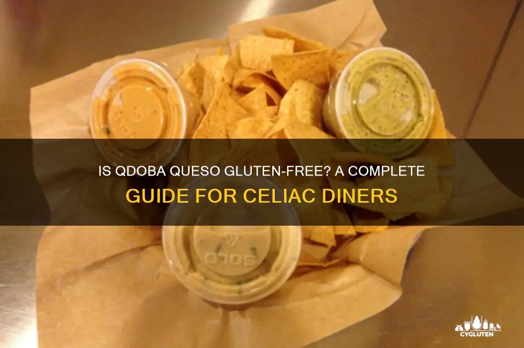 is qdoba queso gluten free