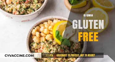 Is Quinoa Gluten-Free? Unraveling the Truth for Celiac Diets