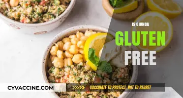 Is Quinoa Gluten-Free? A Complete Guide for Celiac Diets