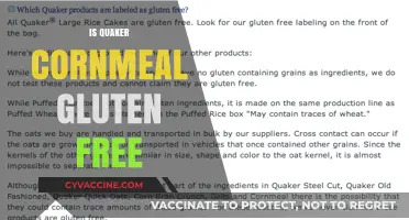 Is Quaker Cornmeal Gluten-Free? A Clear Answer for Celiacs