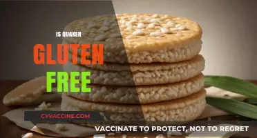 Is Quaker Gluten-Free? Uncovering the Truth About Their Products