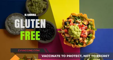 Is Qdoba Gluten-Free? Exploring Menu Options for Celiac Diners