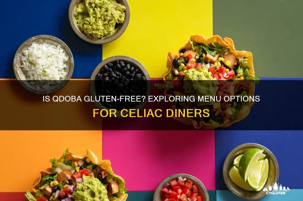 is qudoba gluten free