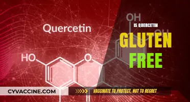 Is Quercetin Gluten-Free? A Comprehensive Guide for Dietary Needs