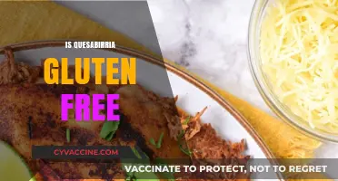 Is Quesabirria Gluten-Free? Unraveling the Dietary Mystery Behind This Dish