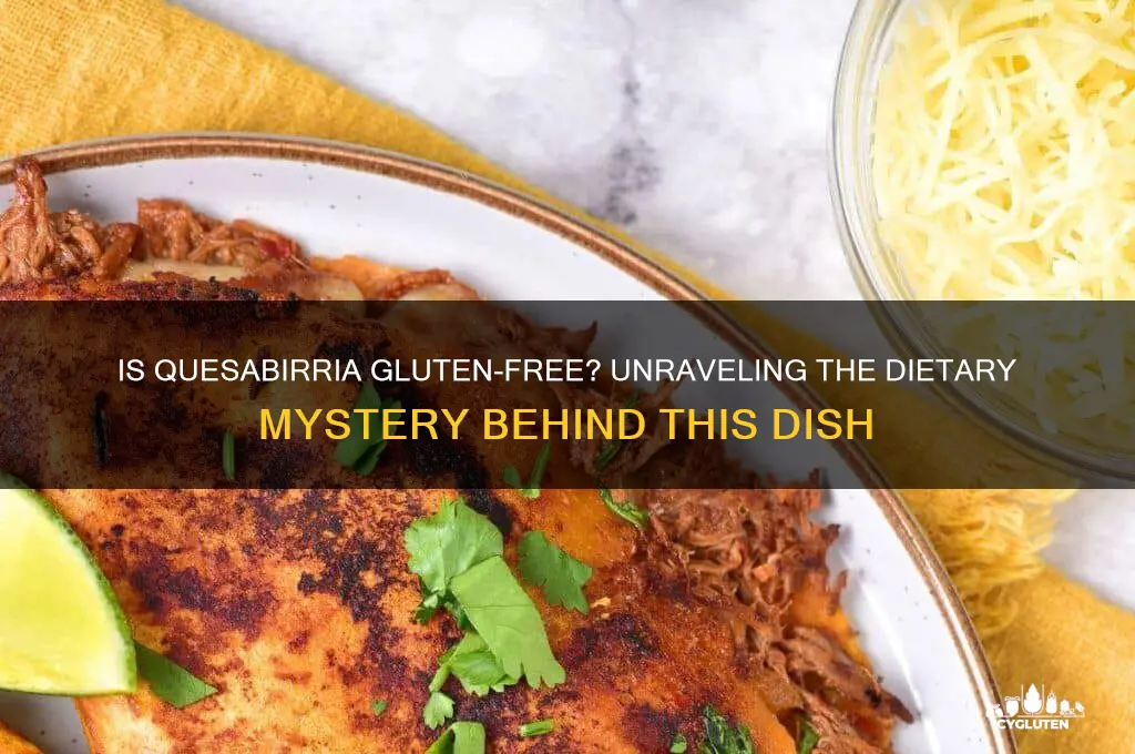 is quesabirria gluten free
