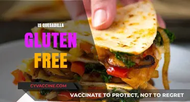 Are Quesadillas Gluten-Free? A Complete Guide to Ingredients and Options