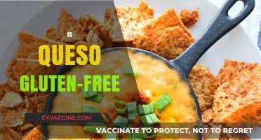 Is Queso Gluten-Free? A Comprehensive Guide to Cheese Dips