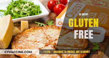 Is Quest Gluten Free? A Comprehensive Guide to Their Products