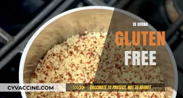 Is Quina Gluten-Free? Unraveling the Truth About This Ancient Grain