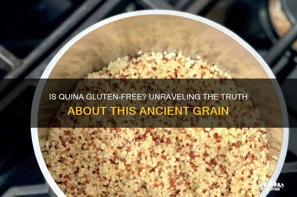is quina gluten free