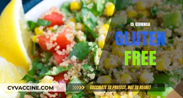 Is Quinoa Gluten-Free? A Complete Guide to Safe Eating
