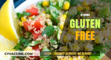 Is Quinoa Gluten-Free? Unraveling the Truth for Celiac Diets
