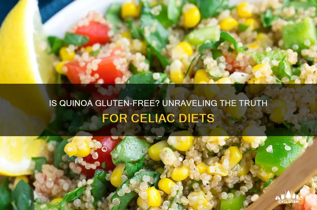 is quino gluten free