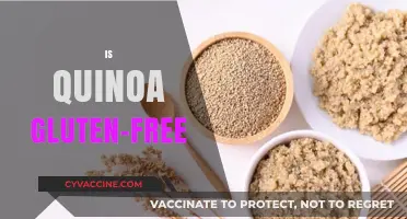 Is Quinoa Gluten-Free? Unraveling the Truth for Celiac Diets