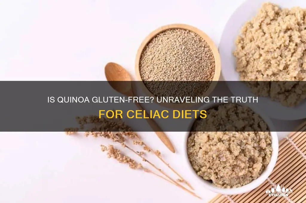 is quinoa gluten-free