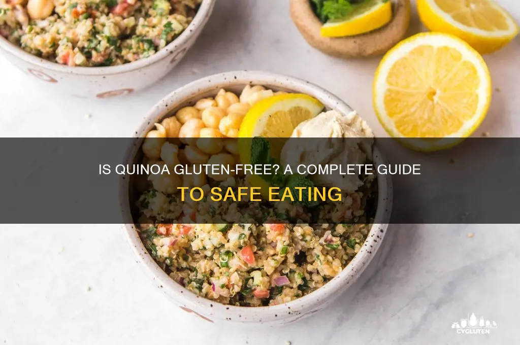 is quinua gluten free