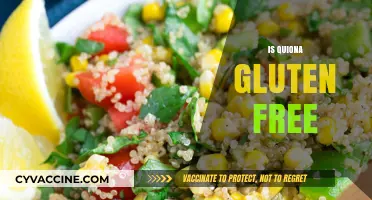 Is Quinoa Gluten-Free? Unraveling the Truth for Celiac Diets