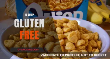 Is Quisp Gluten-Free? A Comprehensive Guide to Your Breakfast Cereal