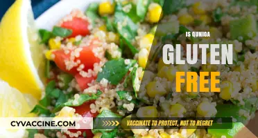 Is Quinoa Gluten-Free? A Complete Guide for Celiac Diets