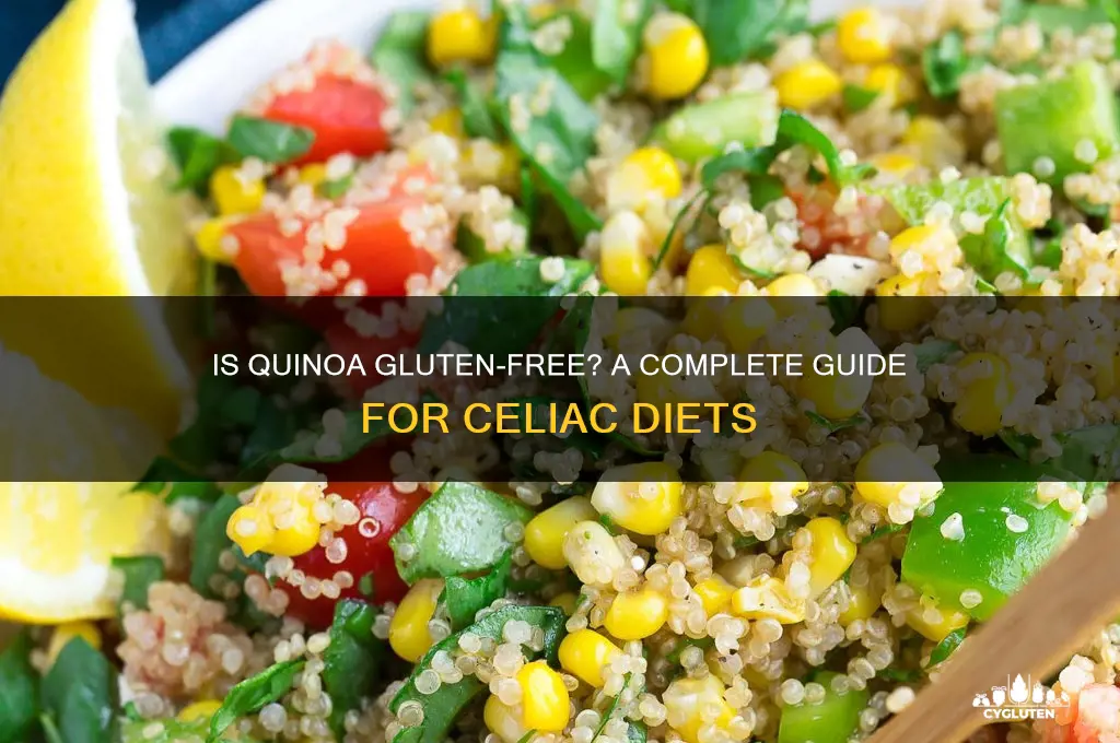 is qunioa gluten free
