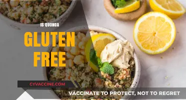 Is Quinoa Gluten-Free? A Complete Guide to This Superfood