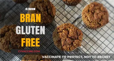 Is Raisin Bran Gluten-Free? A Clear Answer for Your Diet
