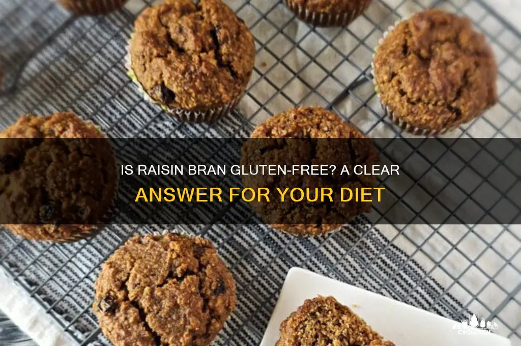 is raisin bran gluten free