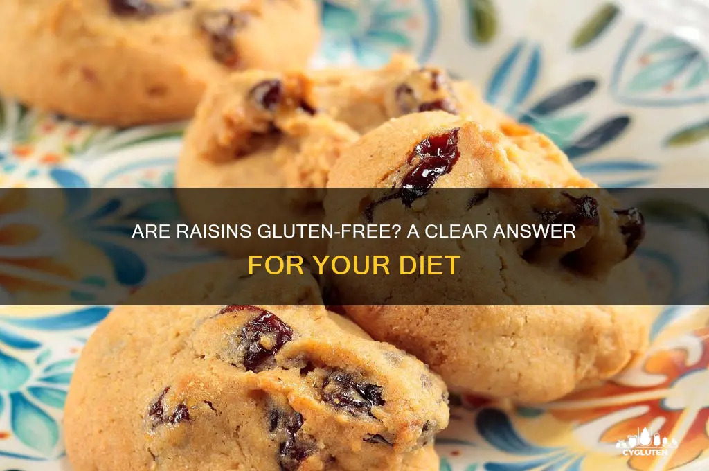 is raisin gluten free