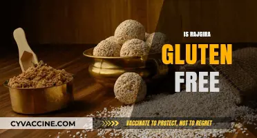 Is Rajgira Gluten-Free? Exploring the Benefits of Amaranth Seeds