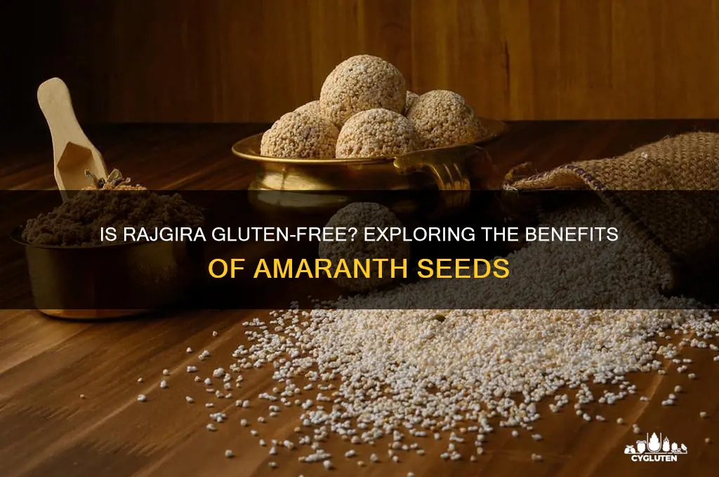 is rajgira gluten free