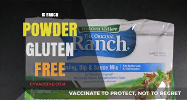 Is Ranch Powder Gluten-Free? A Comprehensive Guide to Your Favorite Dressing