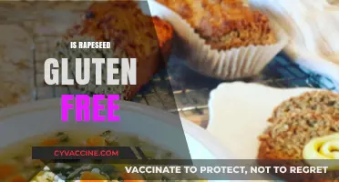 Is Rapeseed Gluten Free? A Clear Answer for Your Diet