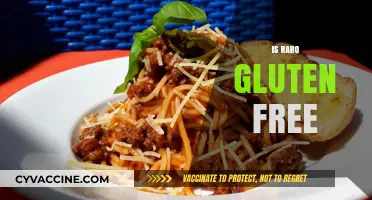Is Raro Gluten Free? A Comprehensive Guide to Your Dietary Needs