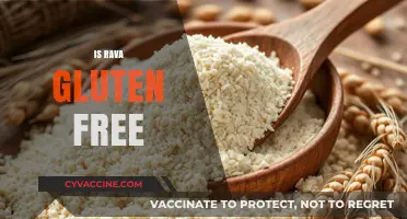Is Rava Gluten-Free? Understanding Semolina in Your Diet