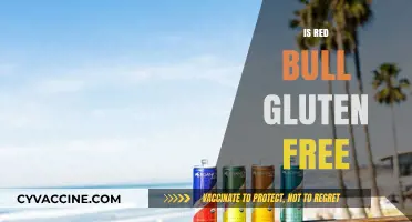 Is Red Bull Gluten-Free? A Complete Guide to Ingredients and Safety