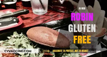 Is Red Robin Gluten-Free? Exploring Menu Options for Celiac Diners