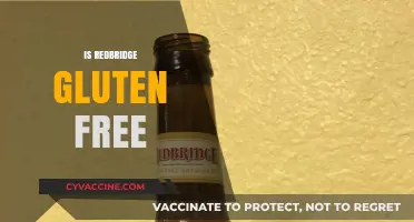 Is Redbridge Gluten-Free? A Comprehensive Guide to This Beer Option