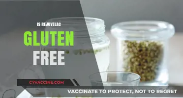 Is Rejuvelac Gluten-Free? Unveiling the Truth for Health-Conscious Consumers