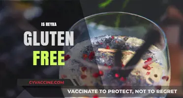 Is Reyka Vodka Gluten-Free? A Complete Guide for Drinkers