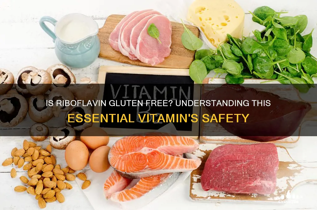 is riboflavin gluten free