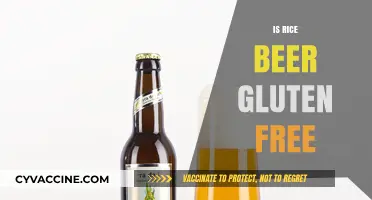 Is Rice Beer Gluten-Free? Uncovering the Truth for Celiac Drinkers