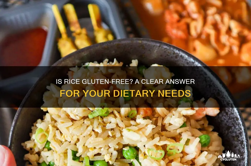 is rice gluteen free
